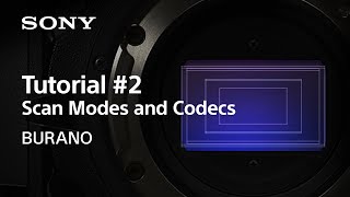 Tutorial 2  Scan Modes and Codecs  BURANO  Sony  CineAlta [upl. by Ruprecht]