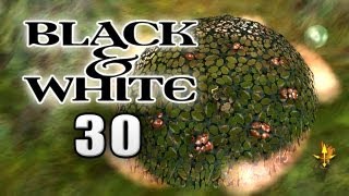 Lets Play Black amp White 030 German  Ohne Ahnung durch die Quests [upl. by Nelyak]