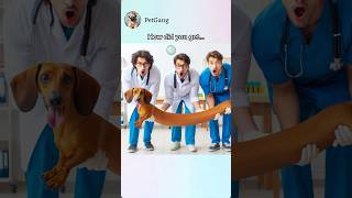 The weiner dog anthem🌭🐶 memes aiart dachshund [upl. by Beller298]