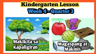 Week 4 Quarter 3  Mga Bagay sa Paligid  Magaspang  Makinis  Kindergarten Lesson  MELC [upl. by Hsu55]