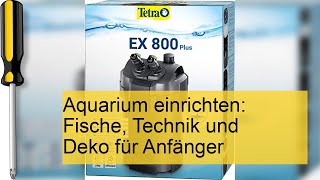 Der perfekte Guide Aquarium einrichten für Anfänger – Fische Technik und Deko leicht gemacht [upl. by Sorilda216]