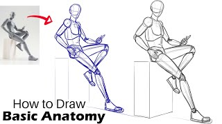 How to draw basic Anatomy  Anatomy Practice For Beginners [upl. by Anilegnave]