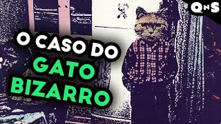 GATO É BICHO ESCROTO Gatos agindo como gente é muito estranho [upl. by Oren]