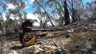 DETECH EDS Gold Catcher Tested in the Victorian gold fields with Stinky Pete amp Detech Australia [upl. by Nodrog175]