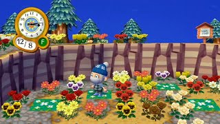 Wii Animal Crossing City Folk Day 307 quotWill it Snow Soonquot [upl. by Windham]