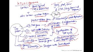 Microbial carcinogenesis oncogenic RNA viruses  HTLV 1 [upl. by Moulden]