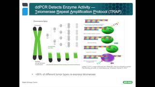 Using Droplet Digital™ PCR for Cancer and Liquid Biopsy Studies [upl. by Cinemod267]