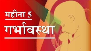 गर्भावस्था  महीना 5  Pregnancy  Hindi  Month 5  Week 18 to week 21 [upl. by Calli]