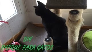 DIY HACER UN PARQUE PARA GATOS [upl. by Nnaesor]