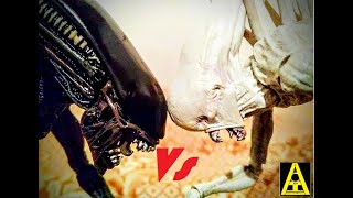 Alien protomorfo vs neomorfo Protomorph vs neomorph Xenomorfo vs neomorfo Xenomorph vs neomorph [upl. by Goss]