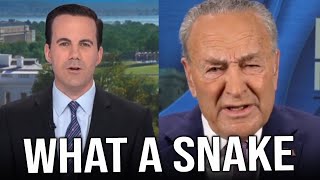 Schumer COMPLETELY DODGES multiple questions on whether he PRIVATELY PRESSURED Biden to QUIT race [upl. by Nahsaj]