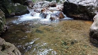 River Stream ASMR  Soothing Water Sounds for Meditation amp Relaxation [upl. by Etteuqaj]