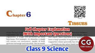 Tissues Class 9 Science Chapter 6 Detailed Explanation [upl. by Cahn238]