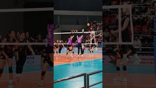 Tubino with a solid hit pvl2024 [upl. by Yvette]