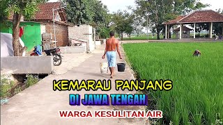 DAMPAK KEMARAU PANJANG DI JAWA [upl. by Naesyar]