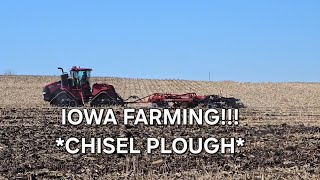 Chisel Plow with Horse Power Tractor in Iowa Farming subscribe subscribers viralvideo [upl. by Furmark]