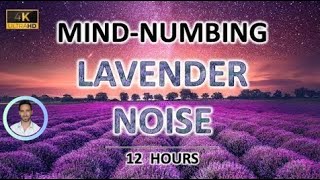 Mindnumbing Lavender Noise  12 Hours BLACK SCREEN  Study Sleep Tinnitus Relief and Focus [upl. by Annauqahs]