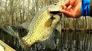 Crappie fishing for spawning Crappie [upl. by Liek]