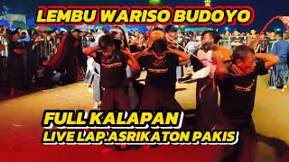 BRINGAS  Lembu Wariso Budoyo Full Kalapan Liar Live Lap Asrikaton Pakis [upl. by Devine]