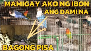 MUNTING IBUNAN NI KUYA JASON MAY BAGONG PISA TAYO AYOS TOH [upl. by Parshall]