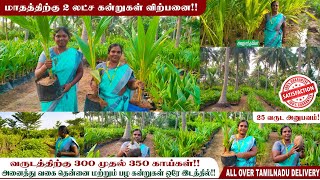 தென்னையில் அதிக லாபம் பெற  வருடத்திற்கு 250 முதல் 300 வரை Pasumai Bhommi Part 1 [upl. by Etiuqal]