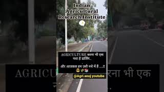 BSc agriculture universities 🔥IARI delhi iari icar agriculture upcatet [upl. by Nollat]