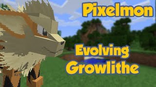 Pixelmon  EVOLVING GROWLITHE [upl. by Gabe]