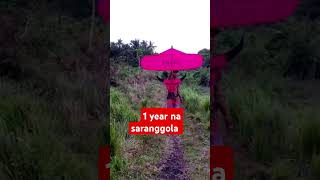 1 year Ng saranggola saranggola [upl. by Kowalski]