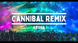 Kesha  cannibal remix Tiktok Version [upl. by Sherline184]