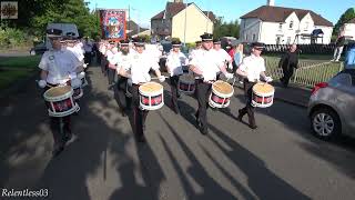 Ahoghill LSOW No9  Calderbank Central Scottish 12th Morning Feeder Parade  080624 4K [upl. by Windy]