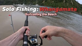 Surfcasting off Whangamata Beach with Sabiki Rigs and caught THESE [upl. by Henrieta562]