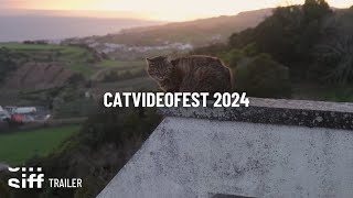 SIFF Cinema Trailer CatVideoFest 2024 [upl. by Barrington]