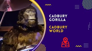 The Cadbury Gorilla 8K [upl. by Enomad]