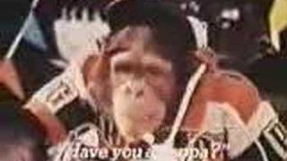 PG Tips Commercial UK c1971B [upl. by Madid]