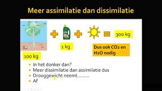 samenhang assimilatie en dissimilatie [upl. by Hajin]