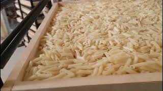 penne pasta 🍝 vermicelli macaroni best quality machine manufacturers Growmax international [upl. by Selway]