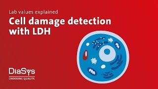 Lab values explained no 6 LDH [upl. by Rabiah]