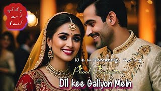 Dil kee Galiyon Mein  New Song  दिल की गलियों में गूंजती है आवाज  Latest Songs 2024 [upl. by Nakah]