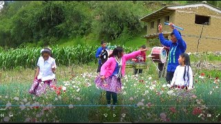 ALICIA ROQUE MARIPOSITA  RONCADORAS LA NUEVA CREACIÓN LA UNICA HUARAZ ÁNCASHPERÚ [upl. by Akitan742]