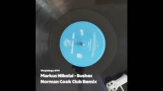 Markus Nikolai  Bushes Norman Cook Club Remix [upl. by Odnama]