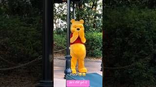 Winnie the Pooh Dances in Disneyland [upl. by Selhorst]