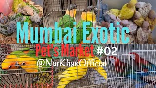 Exotic Pet Market in Mumbai  Animals Birds Cats  Crawford MarketMumbai petsmarketpets Part 2 [upl. by Middlesworth]