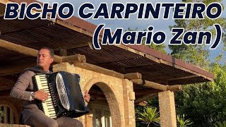 BICHO CARPINTEIRO  MARIO ZAN [upl. by Elumas]