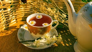 Chamomile Tea Benefits Top 5 Reasons to Drink Daily [upl. by Church224]