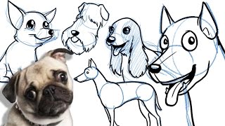 How to Draw a Cartoon Dog  All breeds and on different angles [upl. by Wash]