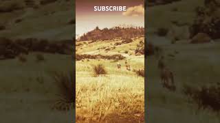 How you should use Deadeye rdrgameplay rdr2 reddeadredmption2 rdr reddead reddeadcommunity [upl. by Eskill]