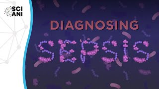 Diagnosing Sepsis [upl. by Jean-Claude]