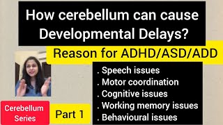 How cerebellum can cause developmental delaysReason for ADHDASDADD amp learning issuespart 1 [upl. by Publea]