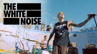 The White Noise  I Lost My Mind In California Official Music Video [upl. by Euqimod]