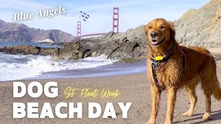 My Dog Tricked Me Into a Beach Day Bakerbeach dogadventure cutedog blueangels fleetweek [upl. by Puglia]